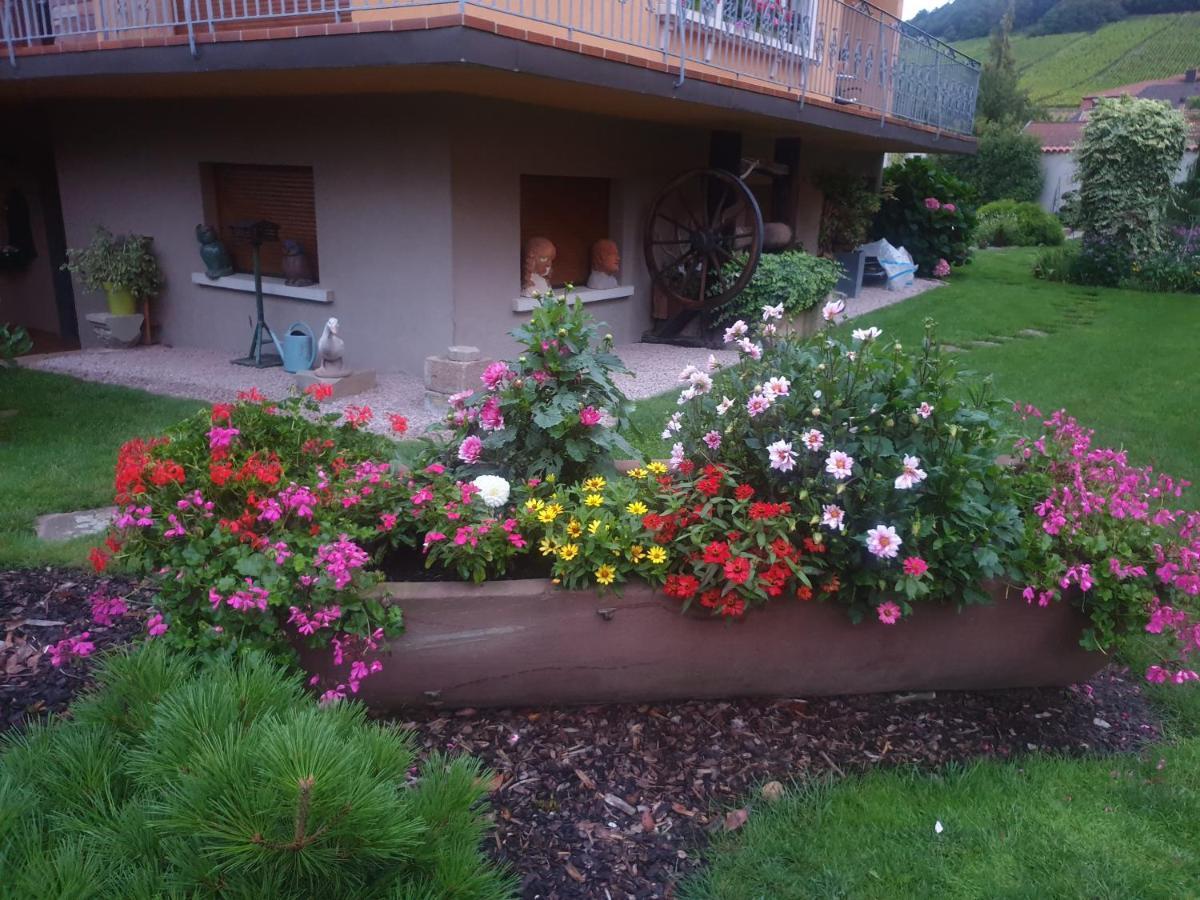La Rocatelle Apartment Andlau-au-Val Exterior photo